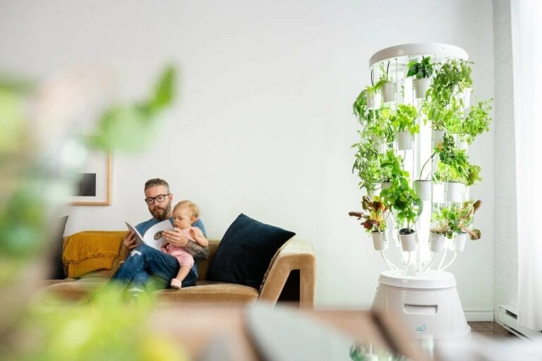 Interior design trends 2023 multi functional space indoor garden