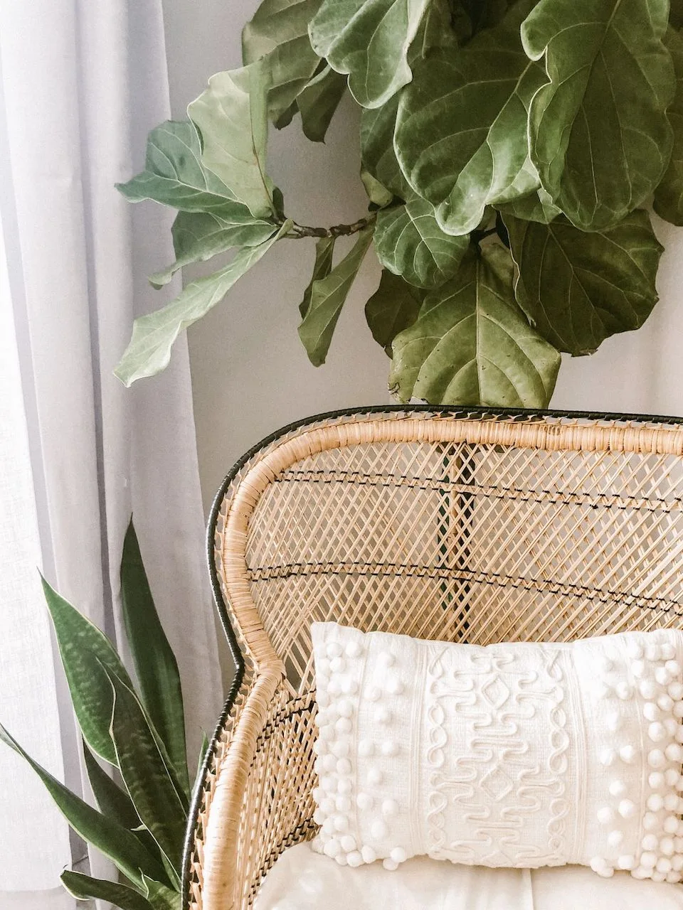Boho Meets Beach: How to Design the Coastal Boho Interior of Your Dreams 7 coastal boho interior beach design essentials