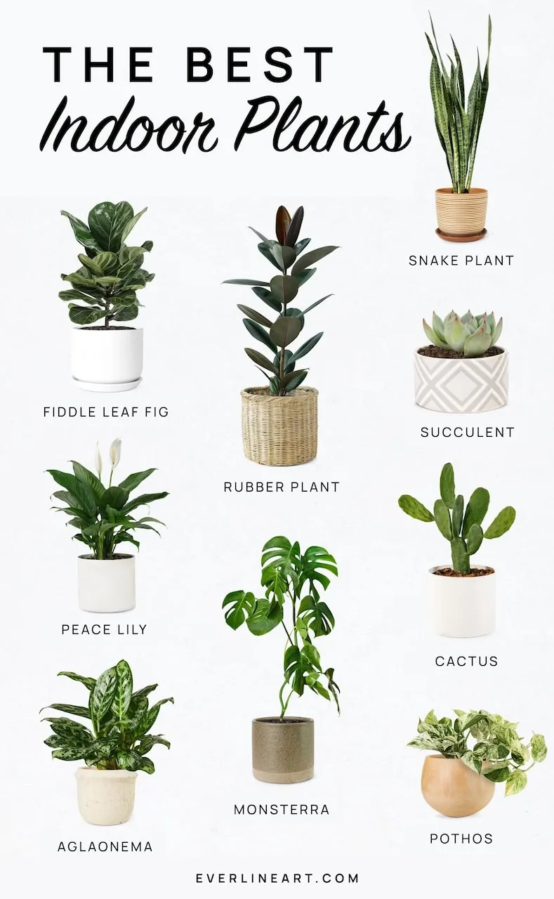 Everything You Need For A Cozy Earthy Bedroom Retreat: 15+ Ideas & Products 7 cozy earthy bedroom best indoor plants