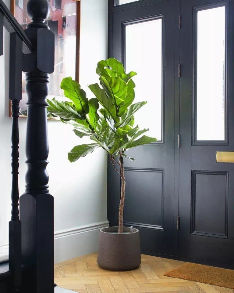 33 Creative Hallway Decor Ideas To Impress Your Visitors and Make a Lasting Impression 2 hallway decor ideas essentials plants