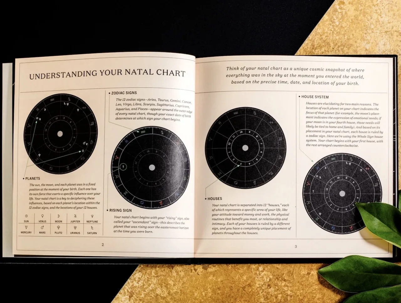 Unique Valentine's Day Gifts That Aren't Cheesy Or Cliche in 2024 3 unique valentines day gift ideas custom birth chart book