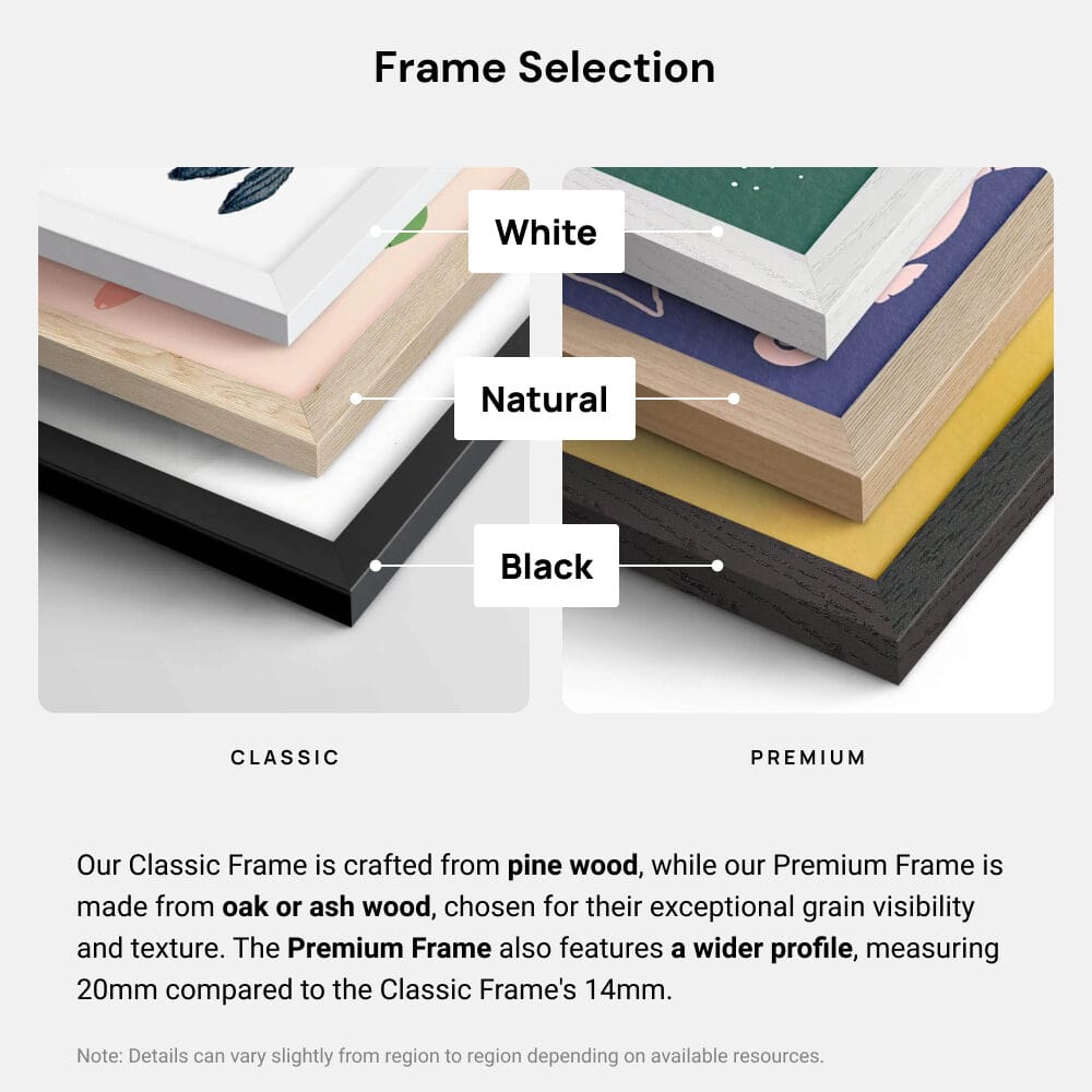 Marketing Frame Selection Marketing Frame Selection