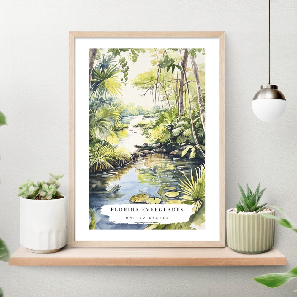 Everglades National Park Watercolor Art Print on shelf Everglades National Park Watercolor Art Print on shelf