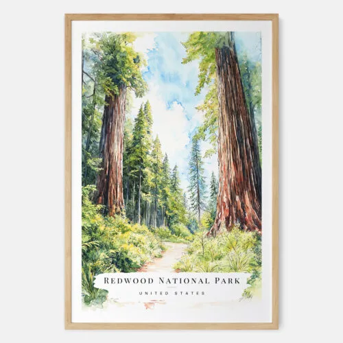Redwood California National Park Watercolor Art Print - Main - Wood Frame
