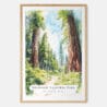 Redwood California National Park Watercolor Art Print - Main - Wood Frame