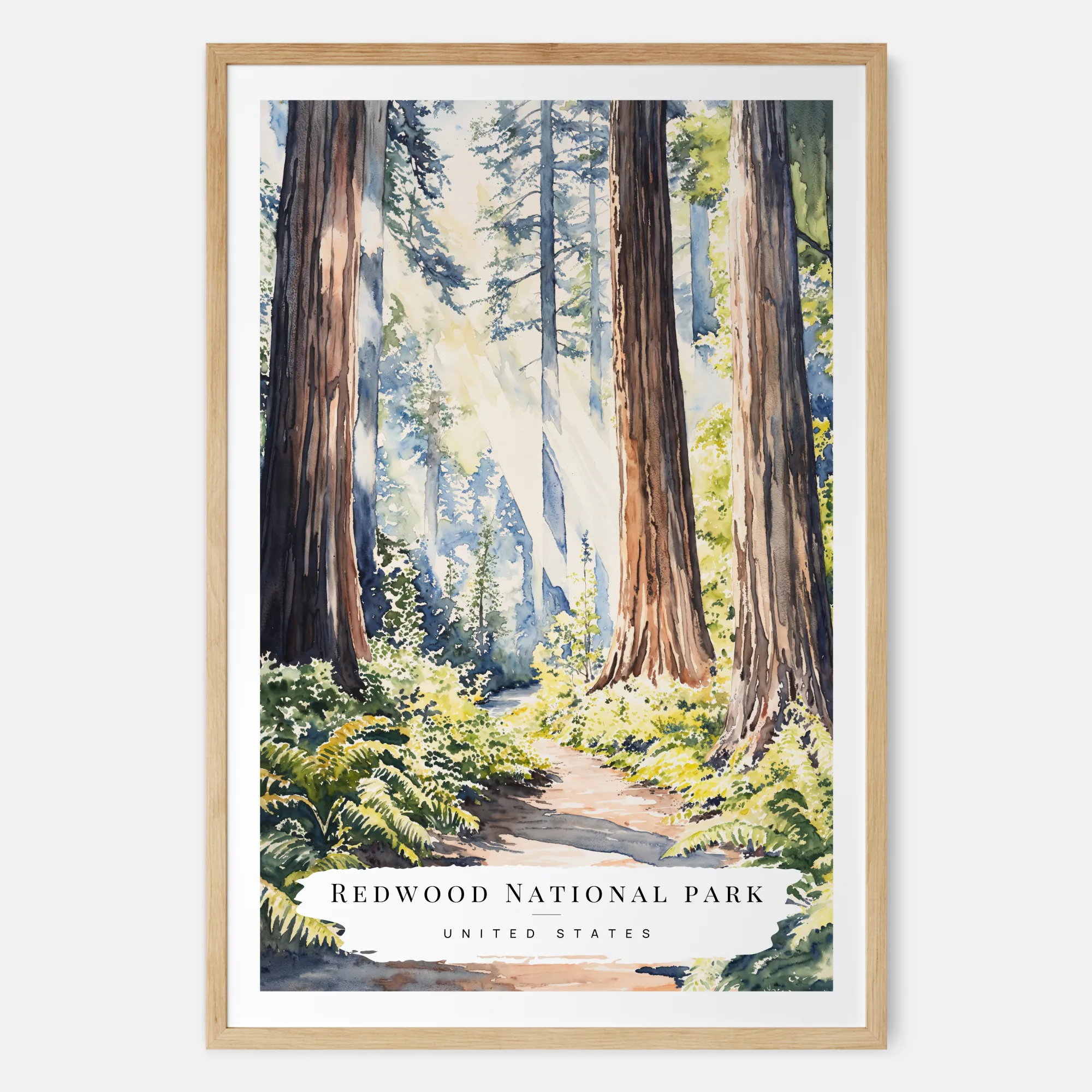 Redwood National Park Watercolor Print - California Art Print