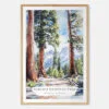 Sequoia California Watercolor Art Print - Main - Wood Frame