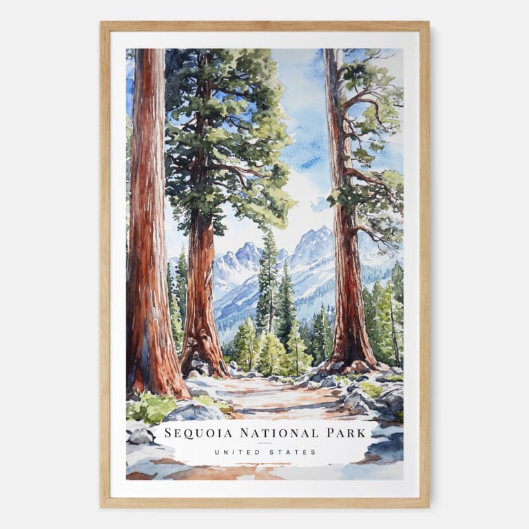 Sequoia California Watercolor Art Print - Main - Wood Frame