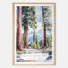 Sequoia California Watercolor Art Print - Main - Wood Frame