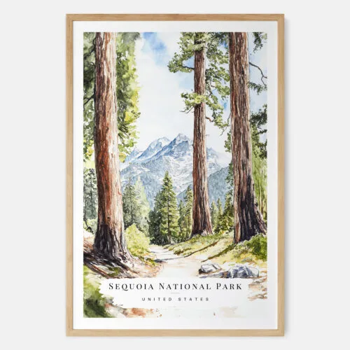 Sequoia National Park Watercolor Art Print - Main - Wood Frame