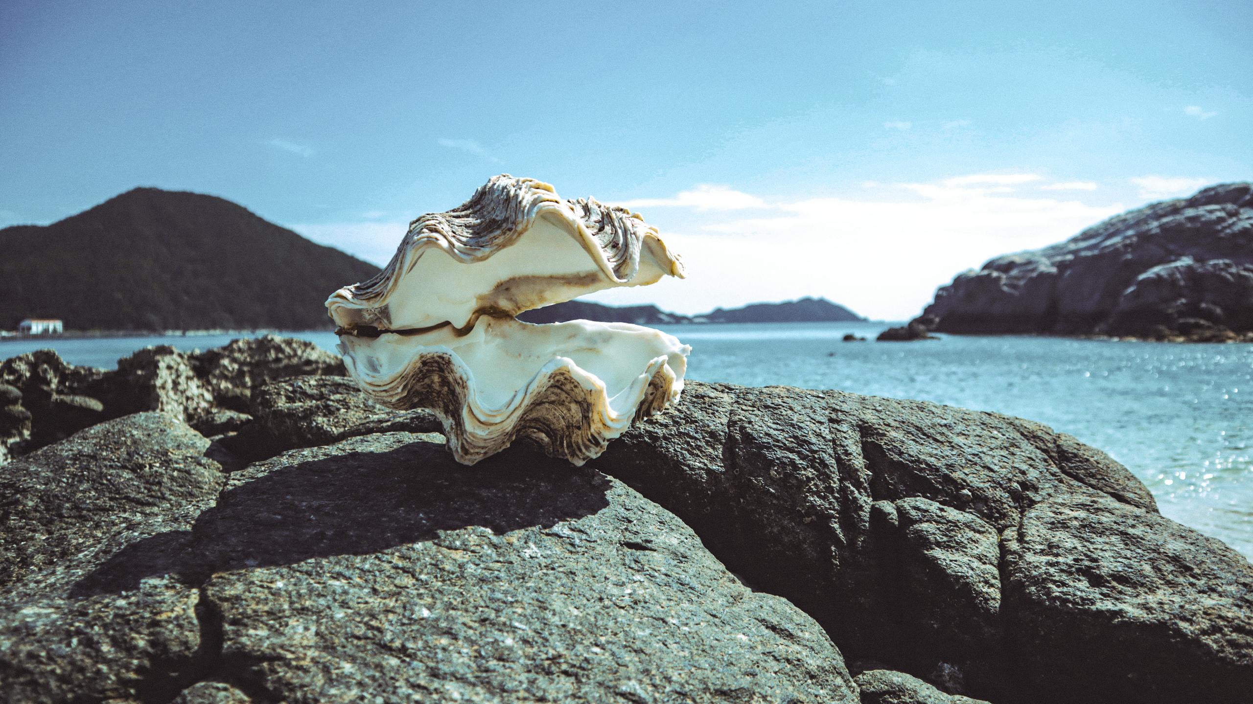Discover the beauty of Tokashiki Island's serene beach with a giant seashell on rocky shores.
