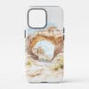 00 - Arches National Park Phone Case - Main.jpg