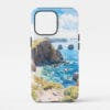 00 - Channel Islands National Park Phone Case - Main.jpg