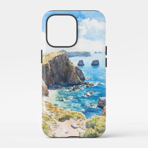 00 - Channel Islands National Park Phone Case - Main.jpg