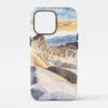 00 - Death Valley National Park Phone Case - Main.jpg