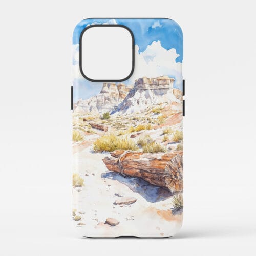 00 - Petrified Forest National Park Phone Case - Main.jpg