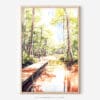 01 - Congaree National Park Watercolor Art - Digital Downloads - Main.jpg