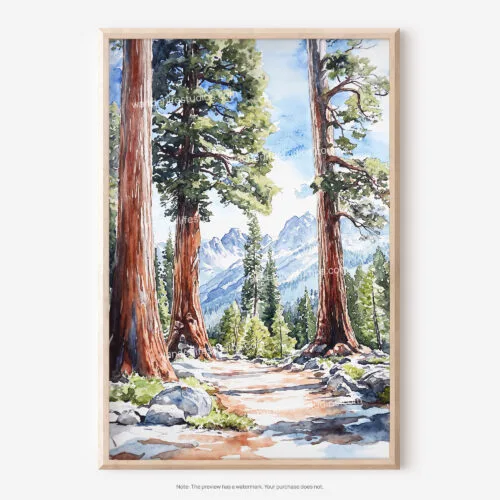 01 - Sequoia California Watercolor Art - Digital Downloads - Main.jpg
