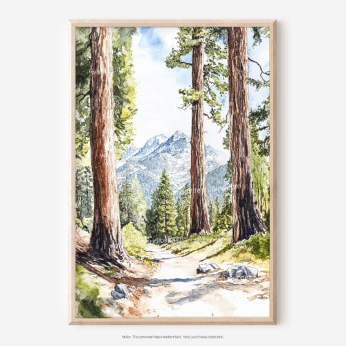 01 - Sequoia National Park Watercolor Art - Digital Downloads - Main.jpg