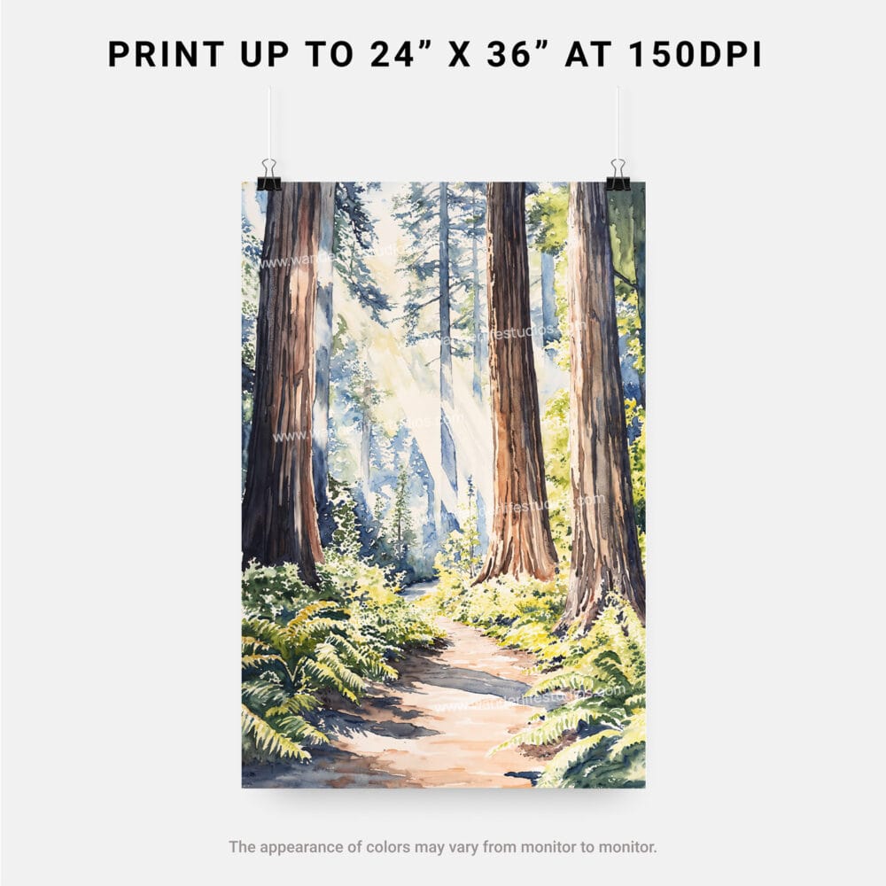 06 - Redwood Nationall Park Watercolor Art - Digital Downloads - Print Size.jpg 06 - Redwood Nationall Park Watercolor Art - Digital Downloads - Print Size.jpg