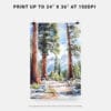 06 - Sequoia California Watercolor Art - Digital Downloads - Print Size.jpg