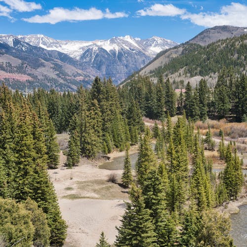 Scenic view of the majestic San Juan Mountains with lush forests and winding river in Telluride, Colorado.