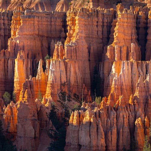 Stunning view of the iconic hoodoo structures in Bryce Canyon, Utah.