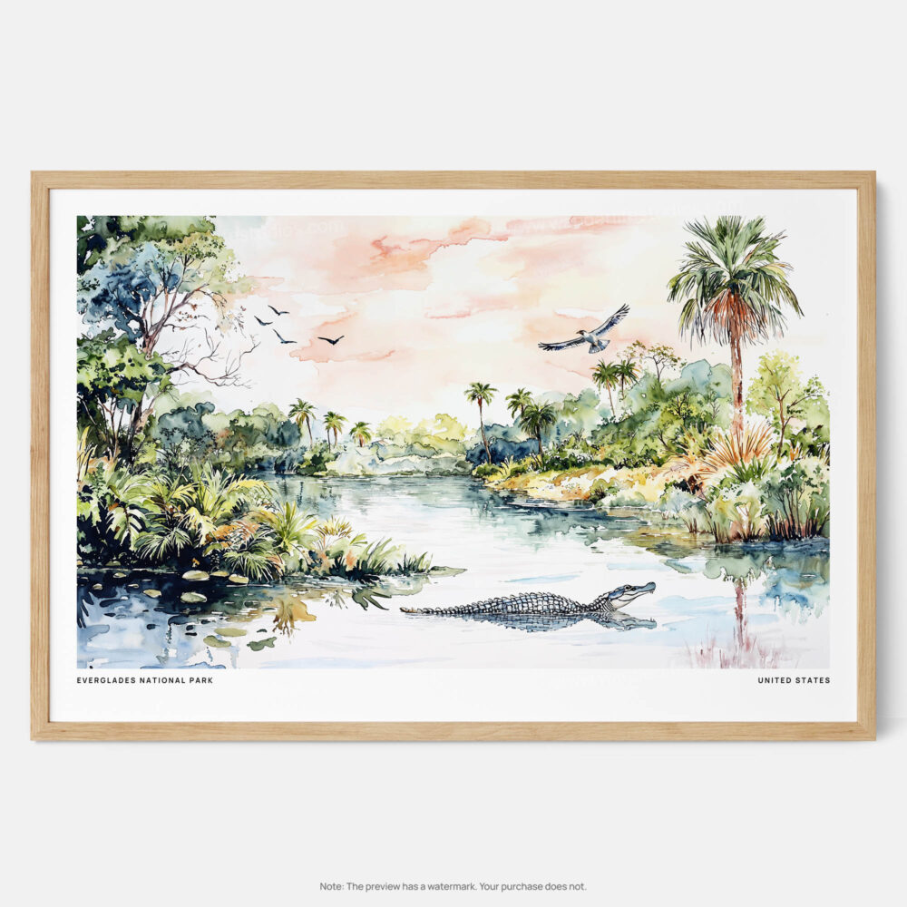 00 - Framed Everglades National Park Watercolor - Horizontal Art Print - Main.jpg