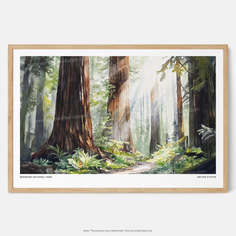 00 - Framed Redwood National Park Watercolor - Horizontal Art Print - Main.jpg