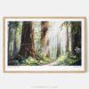 00 - Framed Redwood National Park Watercolor - Horizontal Art Print - Main.jpg