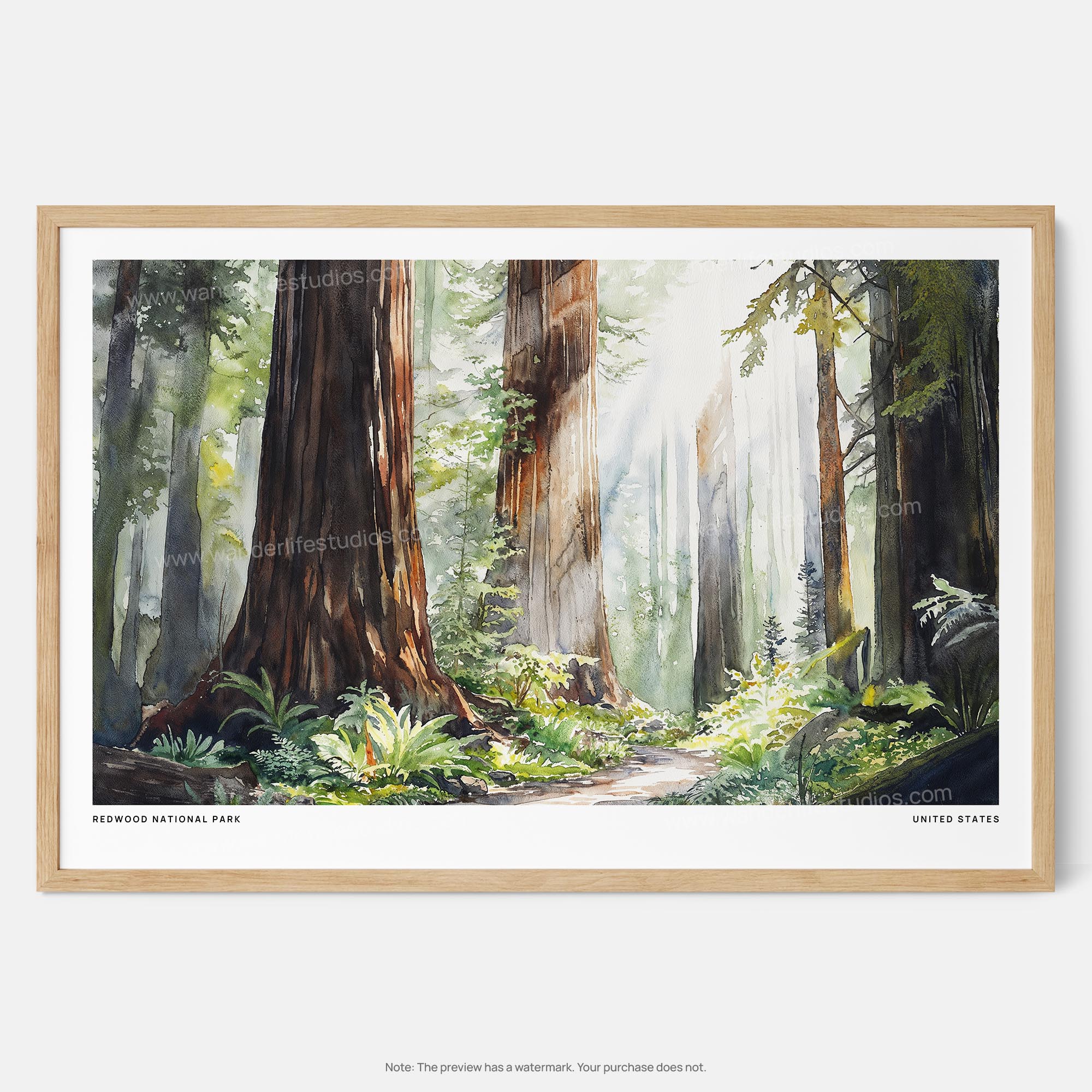 Redwood National Park Watercolor Art Print – Lush Forest Landscape