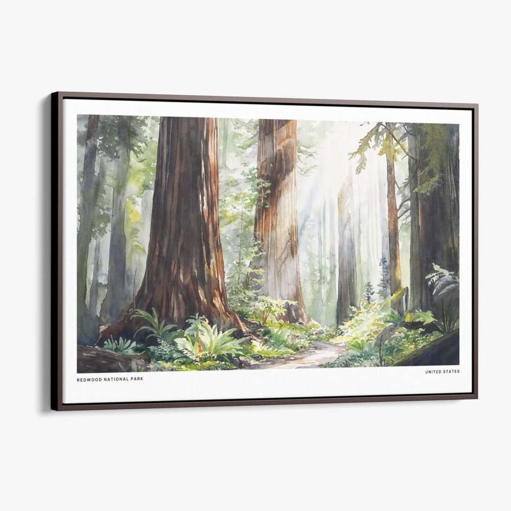 00 - Framed Redwood National Park Watercolor - Horizontal Canvas Print - Main.jpg