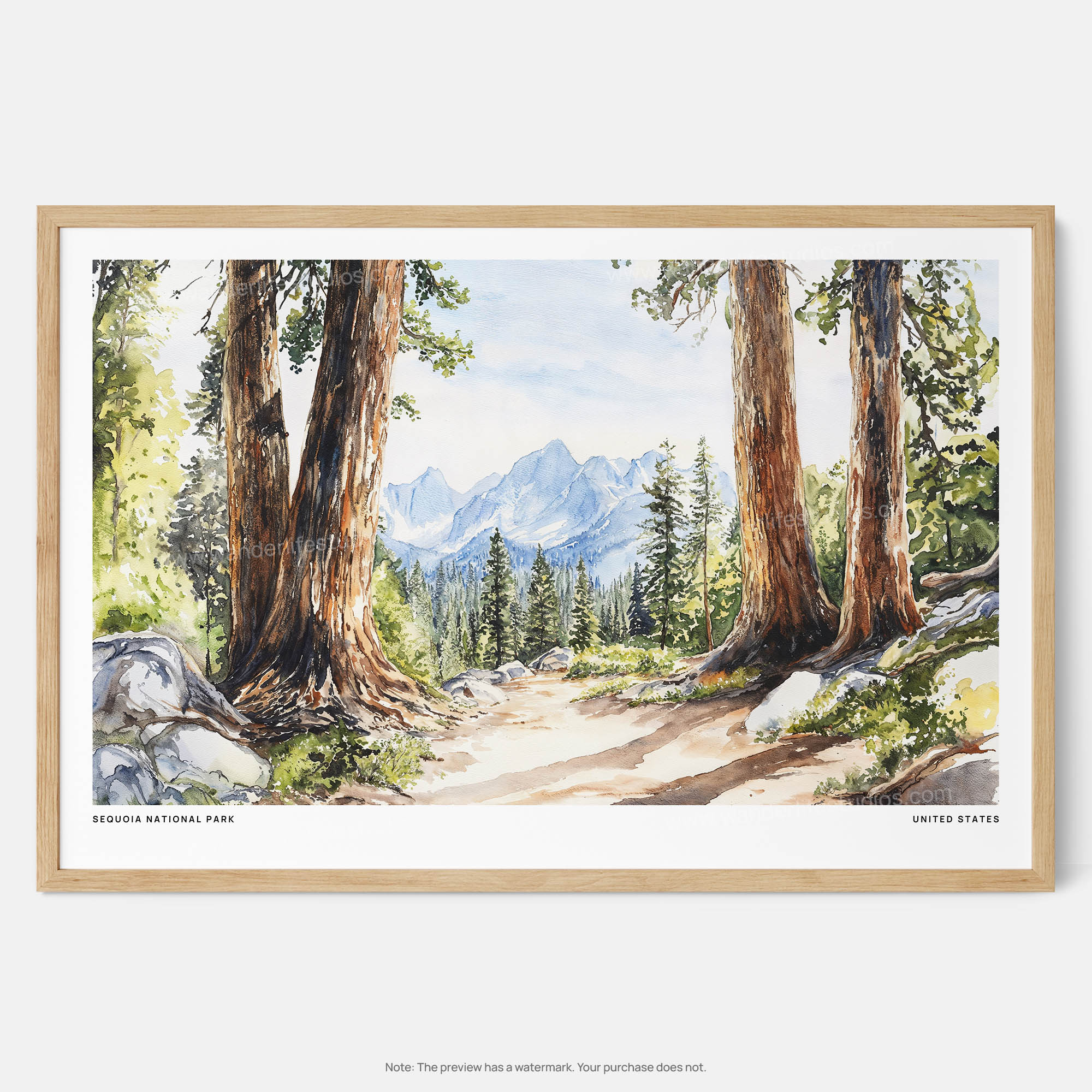 Sequoia National Park Watercolor Art Print – Majestic Forest Landscape