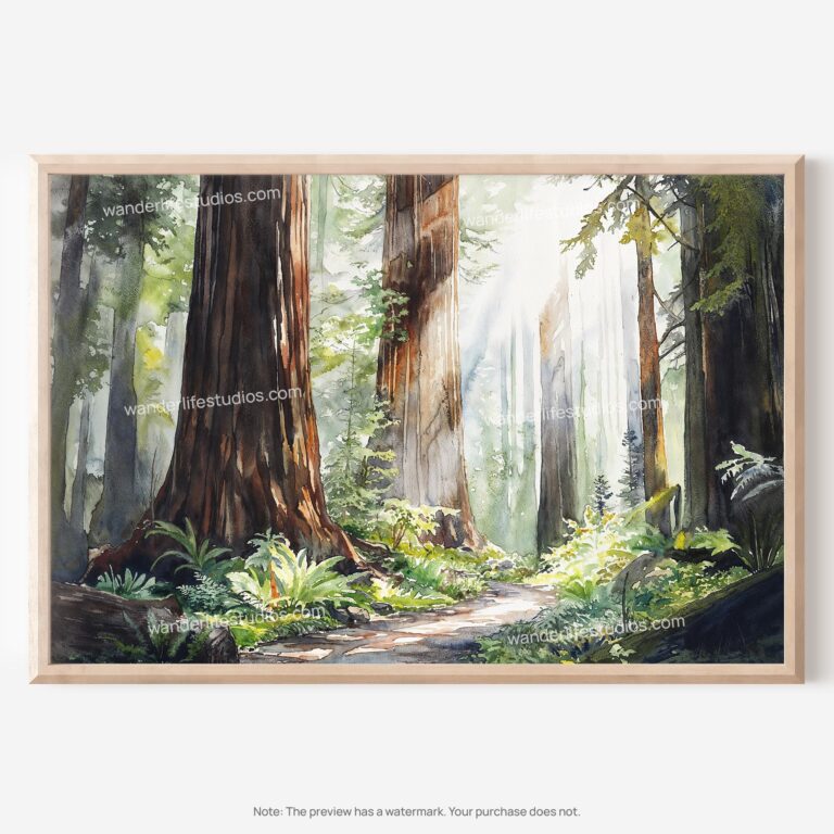 01 - Redwood National Park Watercolor - Horizontal Art - Digital Download - Main.jpg