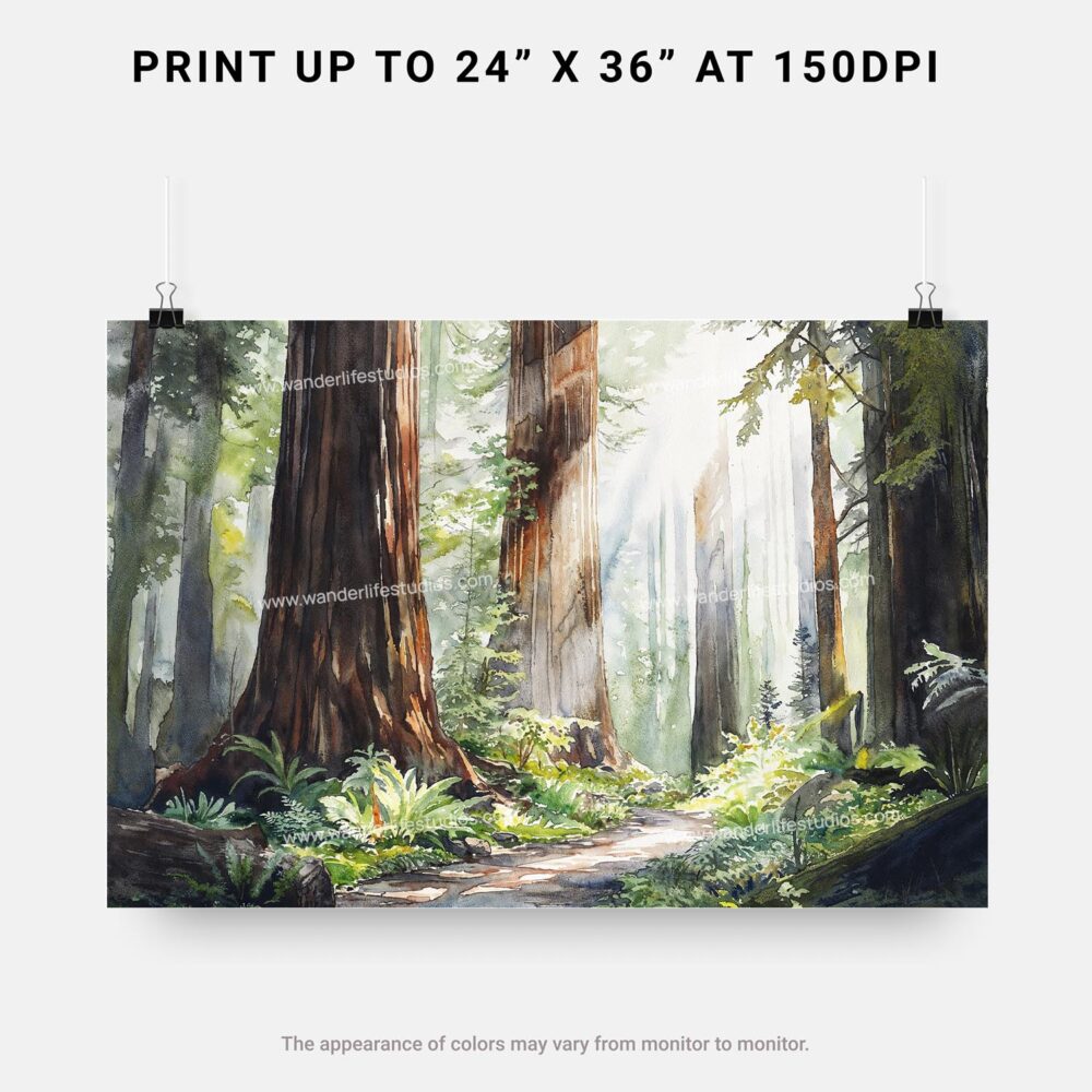 07 - Redwood National Park Watercolor - Horizontal Art - Digital Download - Print Size.jpg 07 - Redwood National Park Watercolor - Horizontal Art - Digital Download - Print Size.jpg