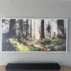 etsy customer review photo Redwood National canvas