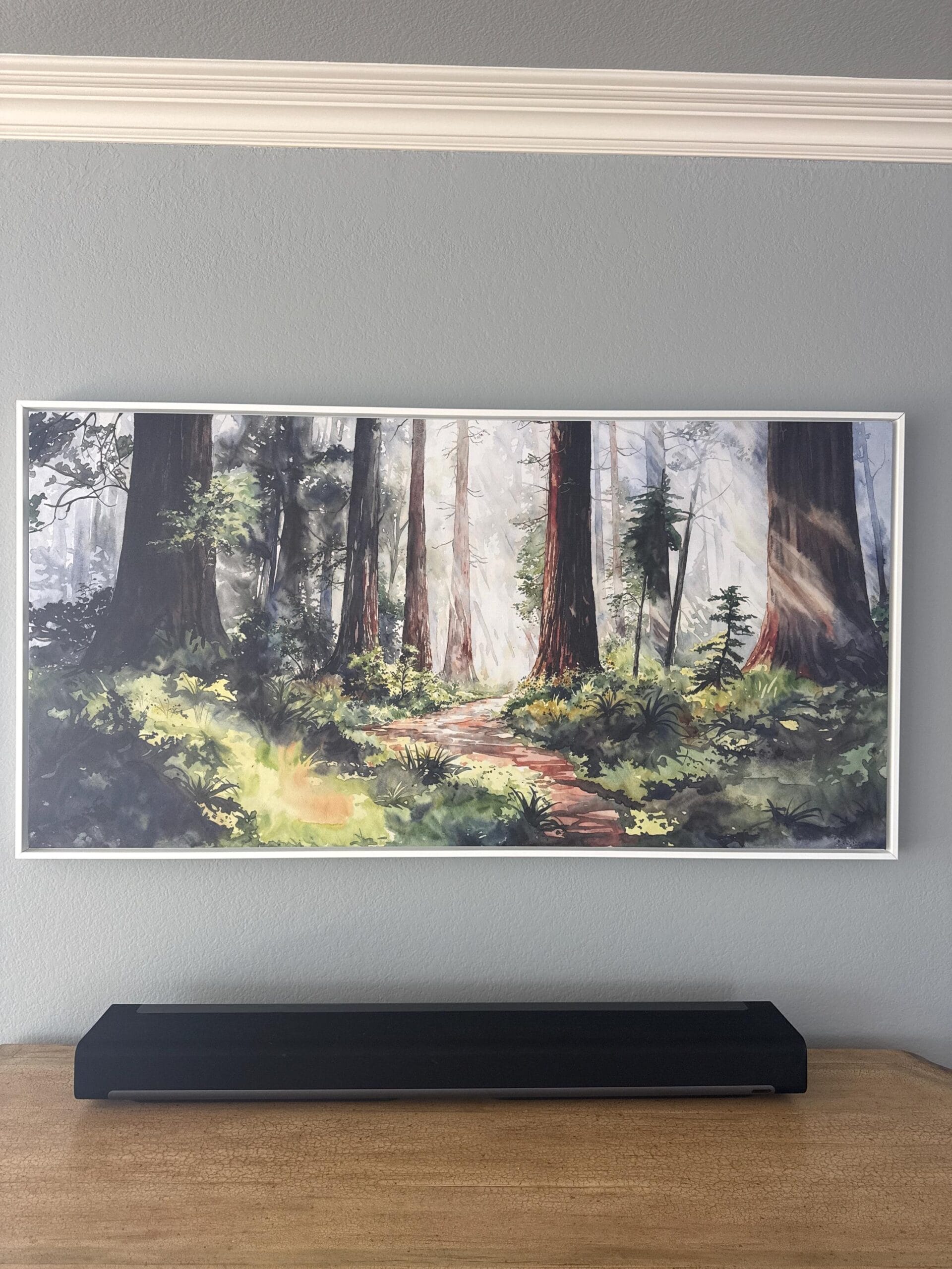 etsy customer review photo Redwood National canvas